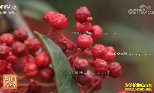 [ÿ��ũ��]���޽���ǰ������ 20170828