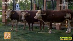 [ÿ��ũ��]���������ػ����ܵ�ţ����ţ