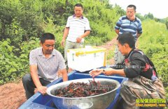 �Ĵ�����Ф���⵾����ֳС��Ϻ��ҵ�¸�