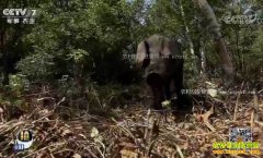 [ÿ��ũ��]�������������ϵ�����Ŀ��ֺ���