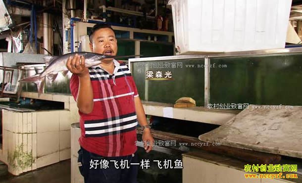 [�¸���]�㶫��ɽ��ɭ������Ԫ����ֳѼ����������ǧ��