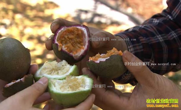 [�¸���]���������������ֲ�������׬Ǯ