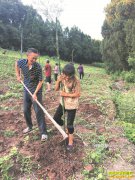 �Ĵ�������ɳ�壺���������̾ʹ����¸�·