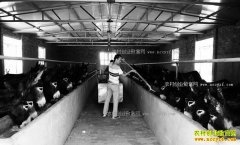 �������أ���ɫ��ֳ����ũ������