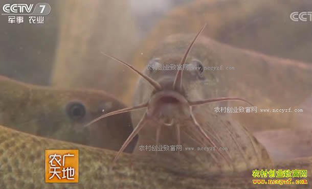 [ũ�����]���۸������˹���ֳ�����ɼ��� 20170905