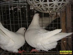 �Ĵ������з��������ȫ��������������