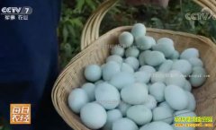 [ÿ��ũ��]���̿ǵ��ļ����¸�