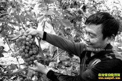 ���콭���ź�ٶ��������Ѵ�������Ч���