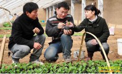 ��ѧ����ٴ�ҵҪע����Щ���⣿