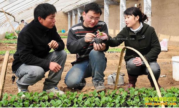 ��ѧ����ٴ�ҵҪע����Щ���⣿