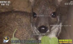 [ÿ��ũ��]���ܿᡱ�����꾹Ȼ��׬Ǯ����