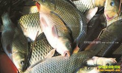 �Ĵ����٣���������Ͷ��С����Ч�졢Ч��߳��¸�����Ŀ