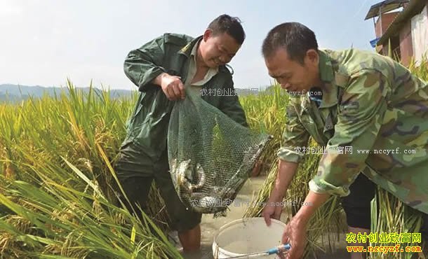 �Ĵ����٣���������Ͷ��С����Ч�졢Ч��߳��¸�����Ŀ