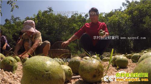 �¸����������������800��(20170912)