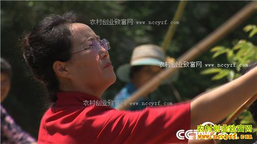 �¸����������������800��(20170912)