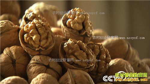 �¸����������������800��(20170912)