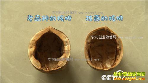 �¸����������������800��(20170912)