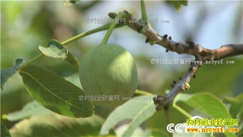 �¸����������������800��(20170912)