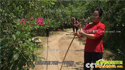 �¸����������������800��(20170912)