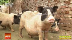 [�Ƽ�Է]�ӱ����������ݵ���ɫ������