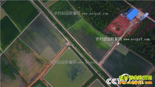 �¸�����������ϱ�� ����׬��Ǯ(20170913)