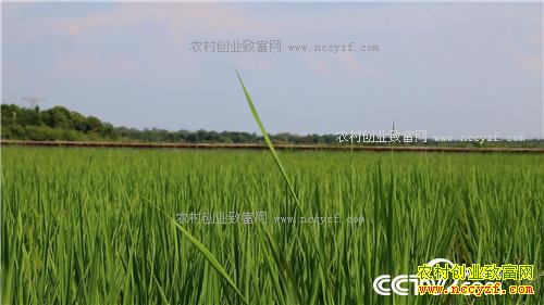 �¸�����������ϱ�� ����׬��Ǯ(20170913)