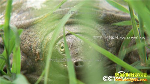 �¸�����������ϱ�� ����׬��Ǯ(20170913)