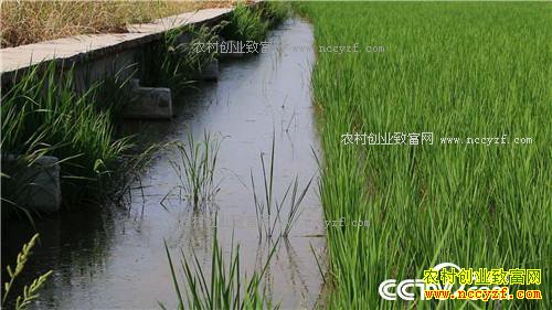 �¸�����������ϱ�� ����׬��Ǯ(20170913)