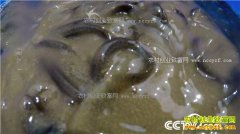 [�¸���]�������ݱ����һ����������325Ԫ�ĲƸ�����