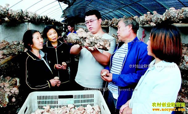 ɽ�������ش�ѧ��������紴ҵ���㹽