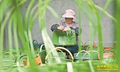 ɽ����Դ�أ���ͳС�ӹ� ���մ��г�