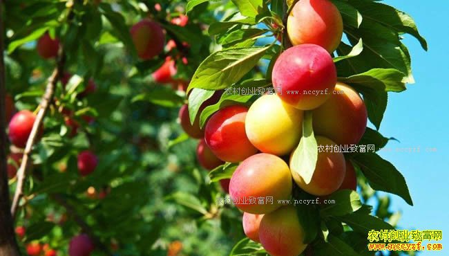 �Ĵ��������������ֲ��̬���� �Ͷ಻����