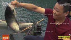 [�Ƽ�Է]���ϰ�ҵ���ͷ�� �ھ����㼼����Ƶ