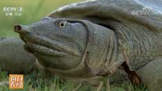 [ÿ��ũ��]�㽭����ˮ�вƸ������ܣ��ö��ļ���������