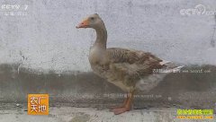 [ũ�����]�½��������ֳ������Ƶ