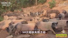 [�¸���]�����ҽ��߾���50������ʧ�ܺ�������׬����Ƹ�