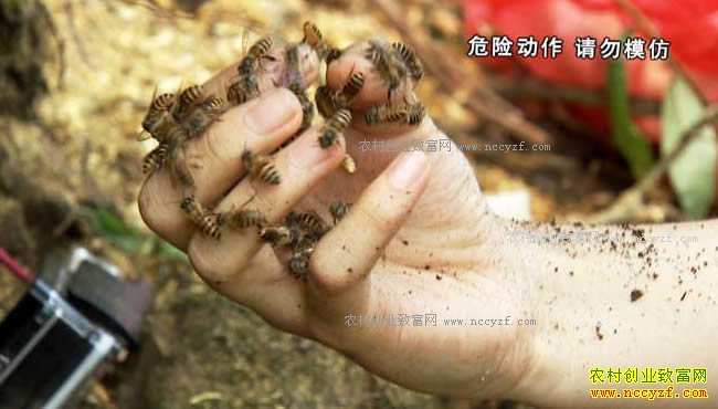 [�¸���]���ĲƸ����㽭����ӻ�������ֳ�¸���