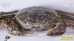 [ÿ��ũ��]ˮ�вƸ������ܣ������˻��ɾ����з������