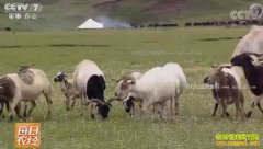 [ÿ��ũ��]���ع�������������ĲƸ�