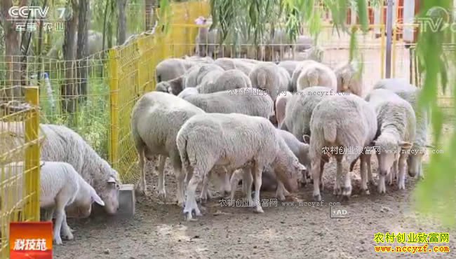 [�Ƽ�Է]��ÿһ�����ⶼֵǮ20170921