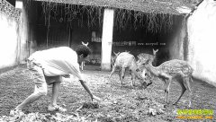 �㽭���˷�����ֳ43ͷ÷��¹��׬10����Ԫ