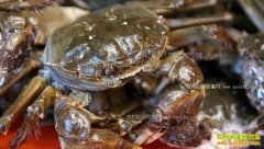 �㽭������ۺ�ˮ��������բз׬��̬Ǯ