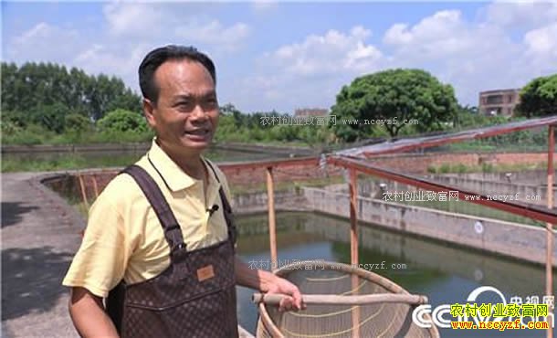 �¸������㶫ï������ΰ����ֳ�޷���׬Ǯ������