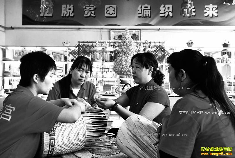 ɽ�������أ�����Ҷ�ֹ���֯����Ʒ��ũ����ƶ�¸�����Ŀ