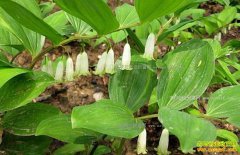 ����¡������ʵ����̬��������Ǯ����