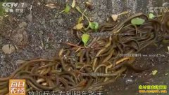 [ÿ��ũ��]�����������Һ������� ��ס���õĻ������ÿ�