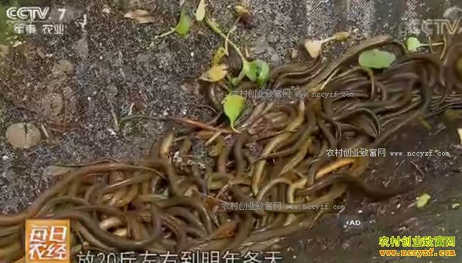 [ÿ��ũ��]�����������Һ������� ��ס���õĻ������ÿ�