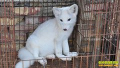 ɽ���������������괴ҵ�¸�����30��Ԫ