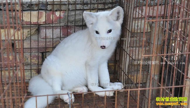 ɽ���������������괴ҵ�¸�����30��Ԫ