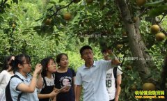 ����������90��½���ֲ����������������С�ӡ�������Ʒ��